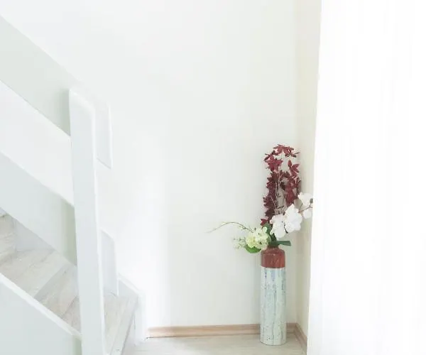 Hébergement de vacances House Jasnica